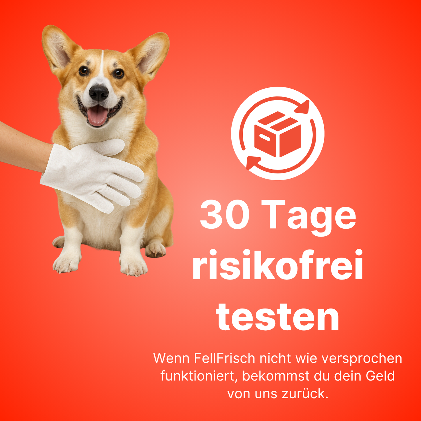 FellFrisch