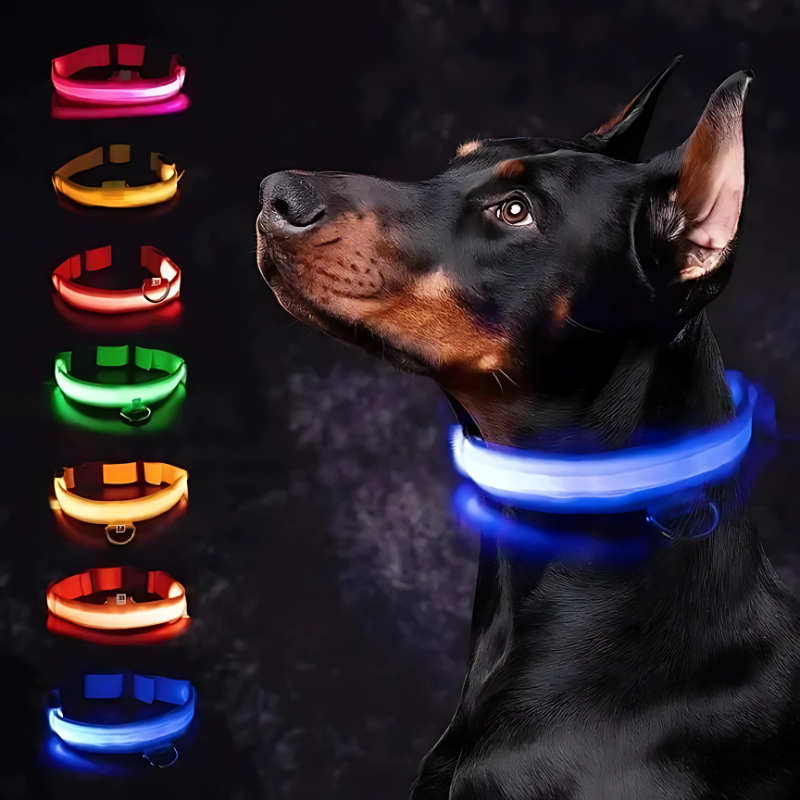 LumiHund
