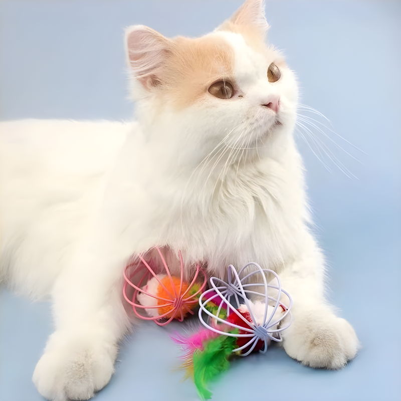 Rollkatze