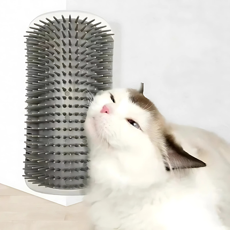 Furritoo