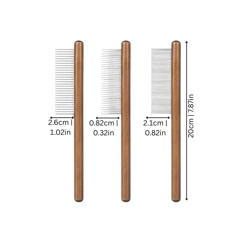 Kammio
