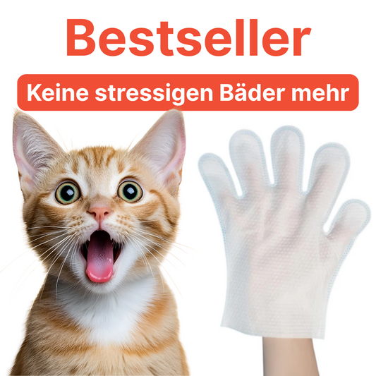 FellFrisch