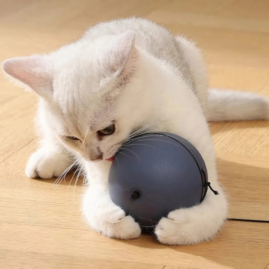 SchnurrBall