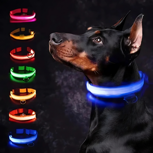 LumiHund