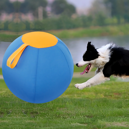 JagdBall