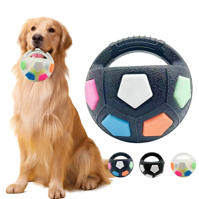 BissBall