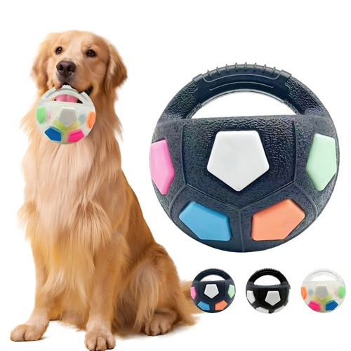 BissBall