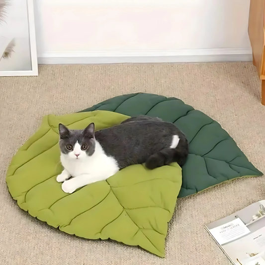 KuschelLaub