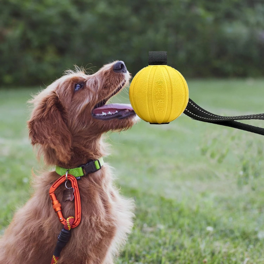 ZerrBall