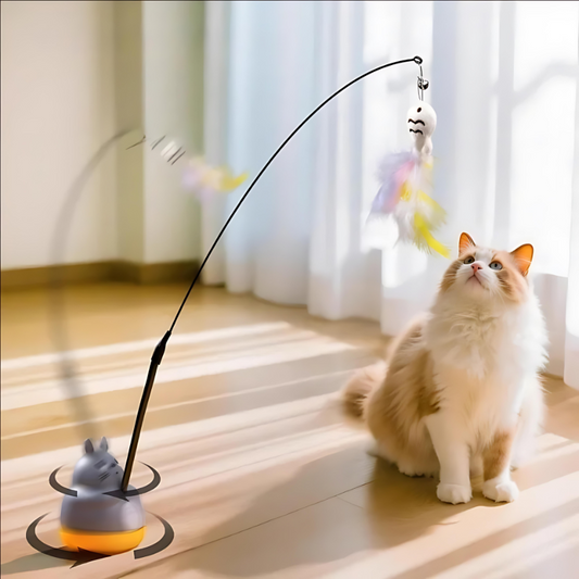 Catrio