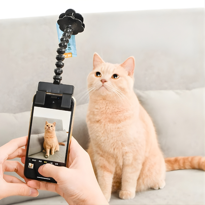 Focpaw