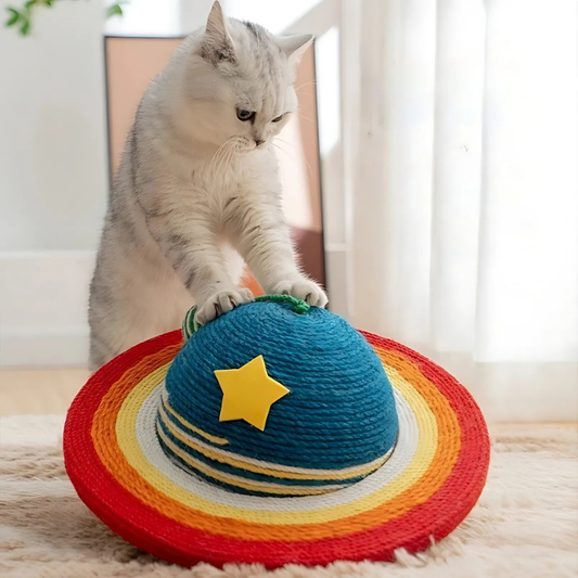 CatStronaut