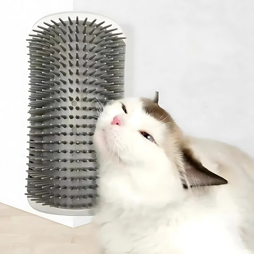 Furritoo