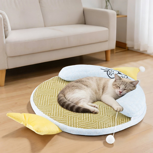 Kuschelkraft