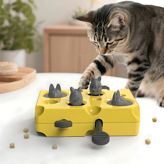KatzenKniff