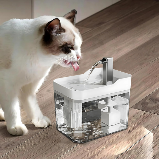 AquaPfote