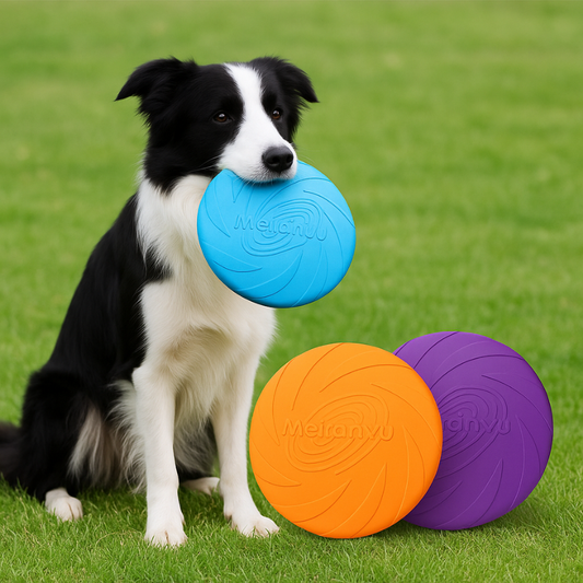 SchnappDisc