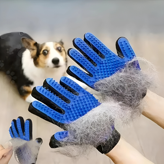 Pawtasticettaei