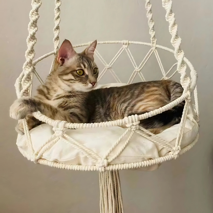 KuschelSchaukel