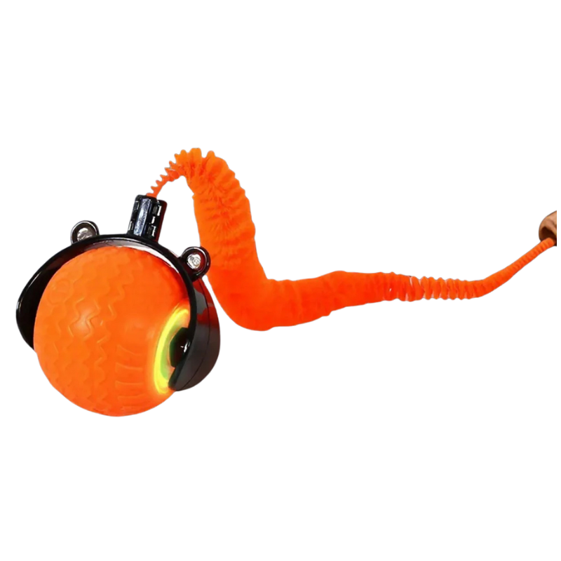 TierGlück