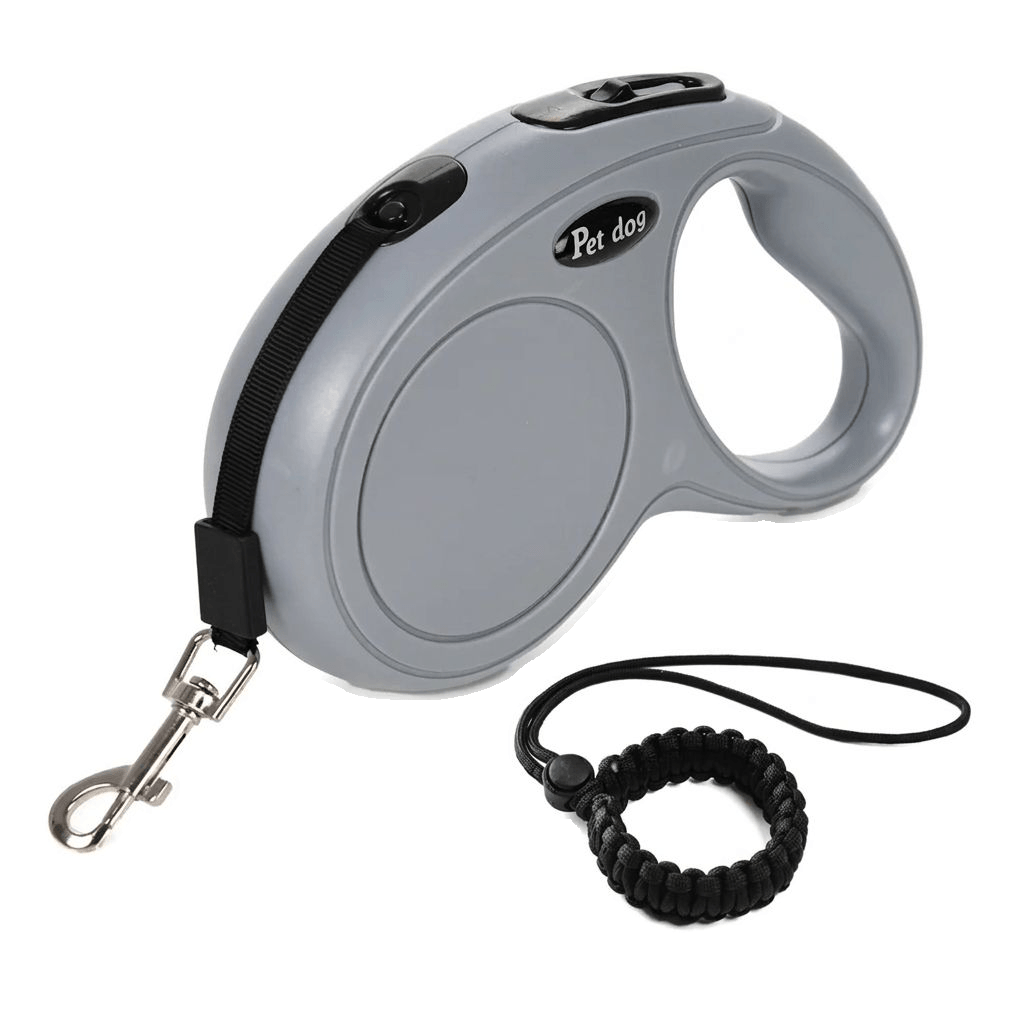 GassiBand