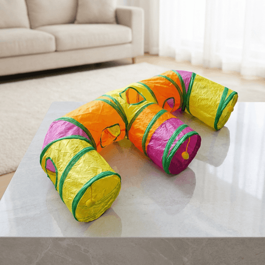 SchnurrTunnel